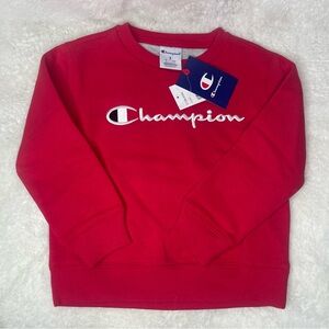 Champion Sweater